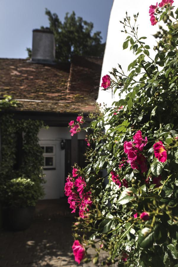 The Jasmine